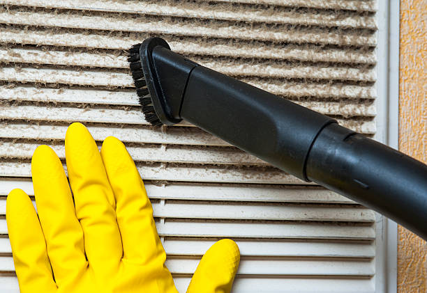 Best Affordable Duct Cleaning Services  in Flagstaff, AZ